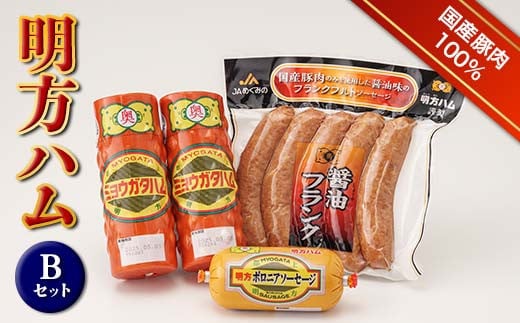 
            明方ハム Bセット ソーセージ ハム フランクフルト 詰め合わせ 計1420g 国産 豚肉 岐阜県 坂祝町 さかほぎ F6M-018
          