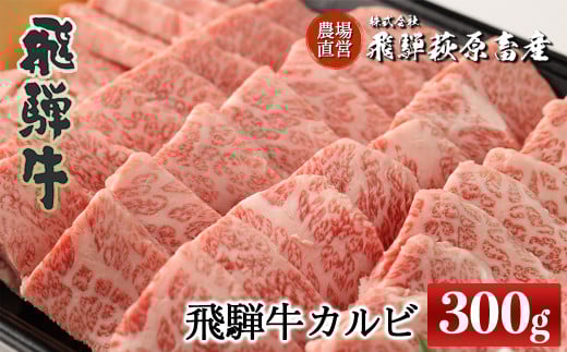 飛騨牛カルビ焼肉  300g 　焼肉 牛肉 国産 ブランド牛 【冷凍】牛 肉 焼き肉 焼肉用 焼き肉用 ギフト 贈答 肉ギフト 贈り物 高級 下呂市
