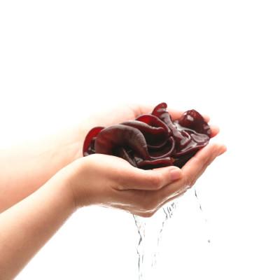 ふるさと納税 日吉津村 森くらげ化粧水 150ml |  | 01