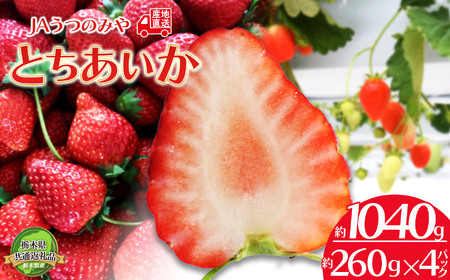 【先行予約】栃木県共通返礼品  とちあいか 260g×4パック 2026年1月～ | 栃木県 下野市
