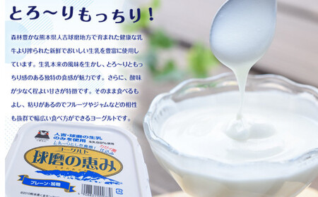 【6ヶ月定期便】球磨の恵みヨーグルトセット（砂糖不使用1kg×4個）計24kg