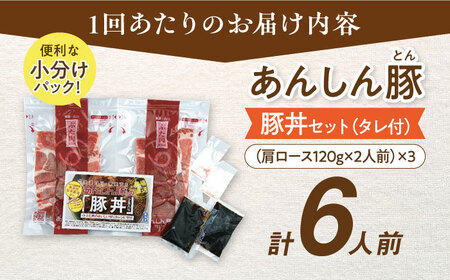 【3回定期便】豚丼セット(肩ロース120g×2人前) ×3 豚肉 白川町 / 藤井ファーム[AWAF013]