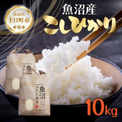 ふるさと納税 十日町市 【令和7年産 新米予約】魚沼産 コシヒカリ 10kg 精米 新潟県 十日町市 仁田地区限定