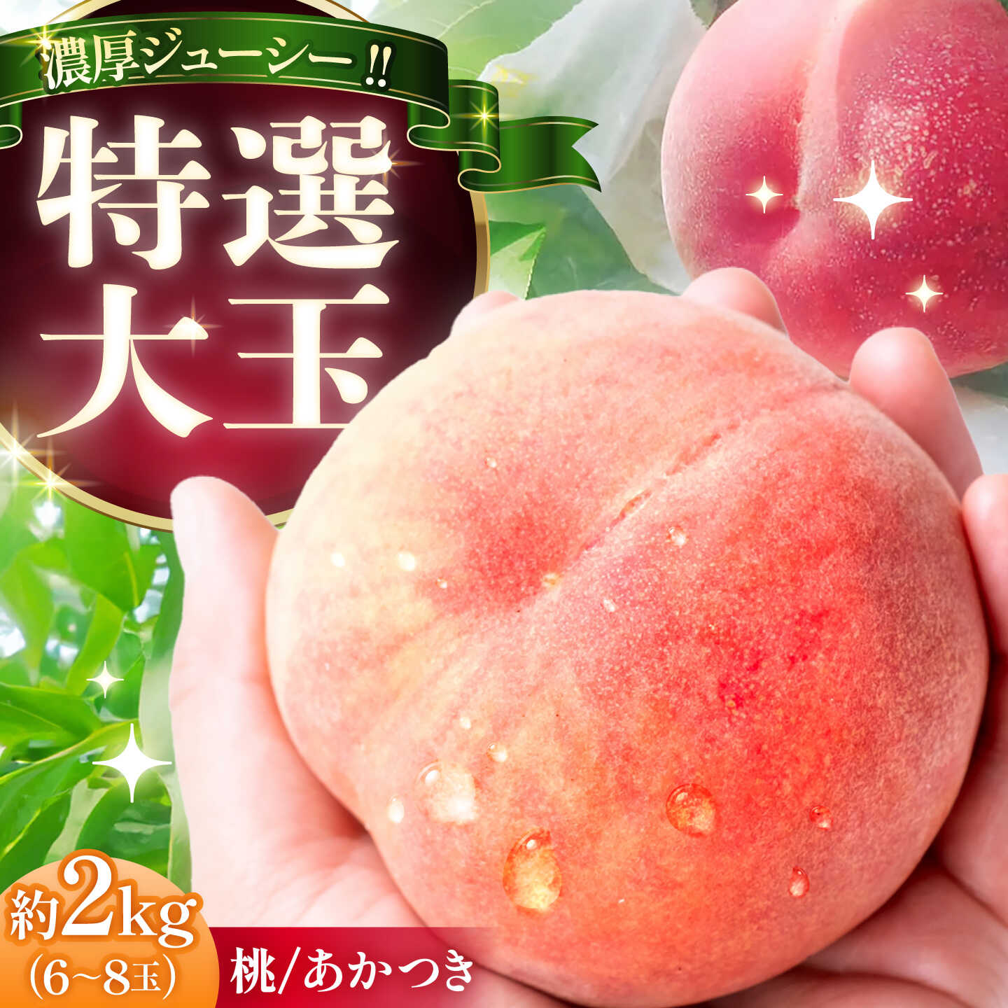 【ふるさと納税】【先行予約 2026年7月下旬から8月下旬に順次発送】 桃 贈答用 特選 大玉 あかつき 2キロ（6〜8玉入り）/ もも モモ くだもの 果物 ギフト 恵那市 / 馥郁農園[AUCK008]