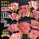 【ふるさと納税】10種盛り焼肉（合計600g）（牛300g・豚300g）「宮崎牛」「宮崎県産豚肉」食べ比べ「数量限定」3D冷凍 ふるさと納税 宮崎牛 豚肉 焼肉 宮崎県 西都市 化粧箱 牛 肉 牛肉 国産 黒毛和牛 数量限定 ミヤチク＜1.1-7＞