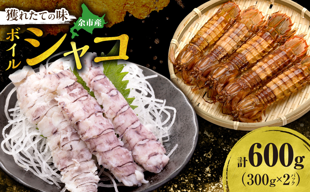 獲れたての味！北海道余市産 ボイルシャコ 300g×2パック 計600g 冷凍 国産 蝦蛄 殻付き 解凍後そのまま 刺身 寿司 天ぷら 鍋 わさび醤油 プリプリ食感 高タンパク DHA EPA 送料無料_Y022-0022