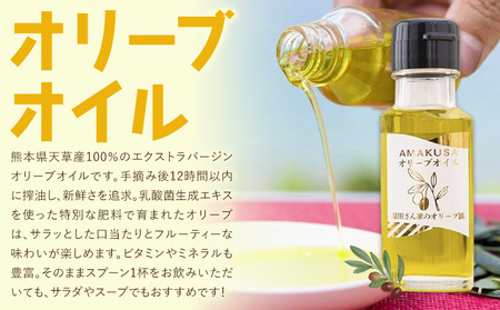 オリーブオイル＆オリーブ茶パスタセット《30日以内に出荷予定(土日祝除く)》｜オリーブオイルオリーブオイル 福田さん家のオリーブ園。