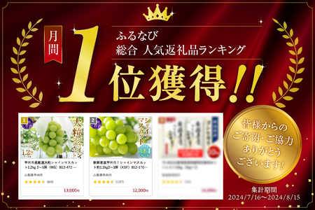 【ふるなび限定】甲州市産厳選旬の大粒シャインマスカット 約1.3kg 2～3房【2026年発送】（MG）B12-472 FN-Limited-VO シャインマスカット フルーツ