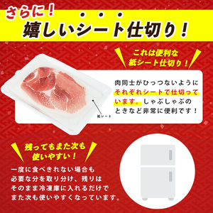 黒豚 10営業日以内に発送  黒豚 しゃぶしゃぶ 1kg IB024-019