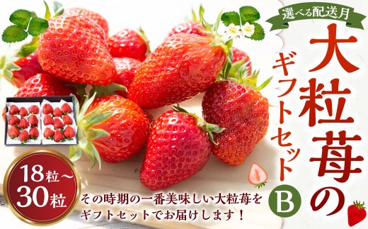 よかもんいちご 大粒苺のギフトセットB  2026年4月発送 いちご イチゴ 苺 大粒 フルーツ 果物 贈答 贈り物 ギフト 令和7年 九州 福岡 うきは市