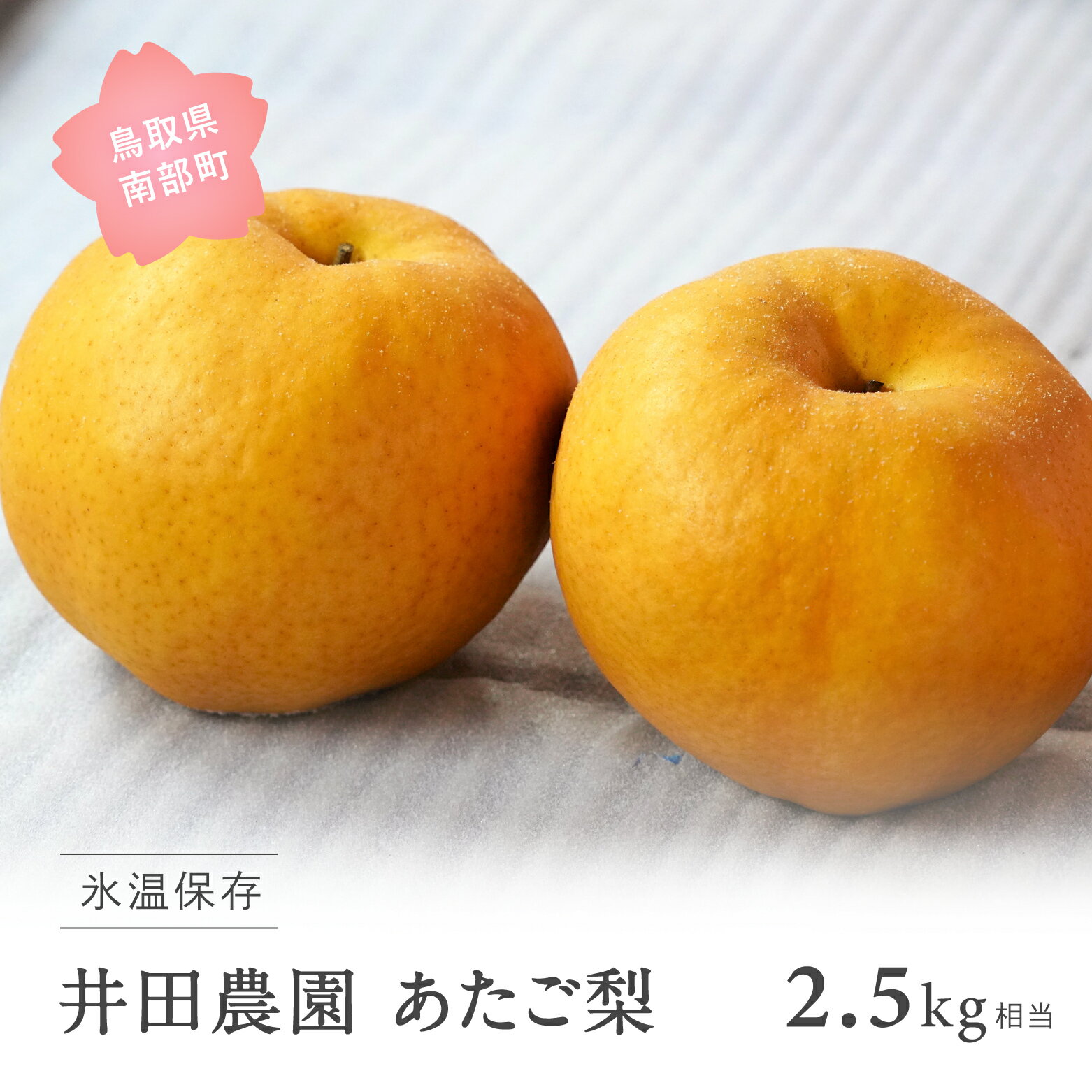 【ふるさと納税】鳥取県南部町産　井田農園のあたご[梨] （2.5kg箱）＜11月～3月出荷予定＞ 梨 なし あたご梨 愛宕梨 フルーツ 氷温保存 鳥取県南部町