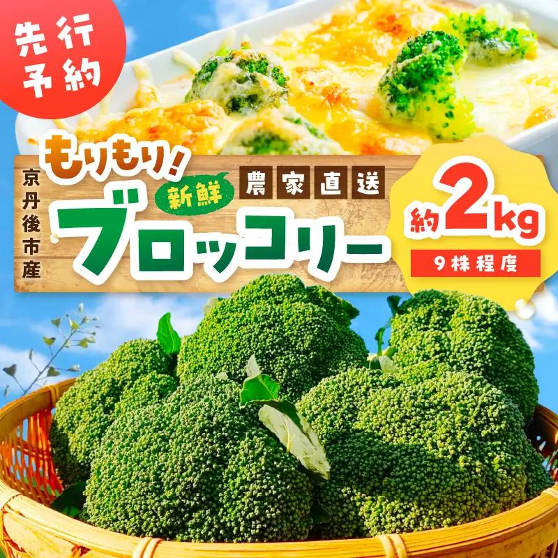 先行予約 もりもりブロッコリー 約2kg | 2026年11月上旬～発送