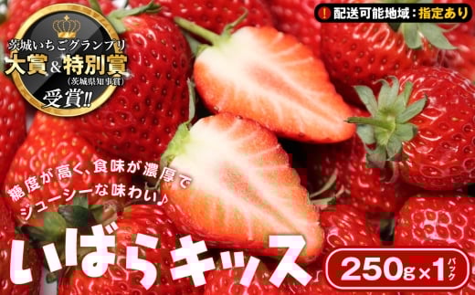 【配送可能地域：指定あり】茨城いちごグランプリ 大賞＆特別賞（茨城県知事賞）受賞！！いばらキッス1パック（250g） ／ いちご 果物 フルーツ オリジナル品種 新鮮 産地直送 高糖度 酸味 濃厚 ジューシー 甘酸っぱい 果汁たっぷり 茨城県 No.879