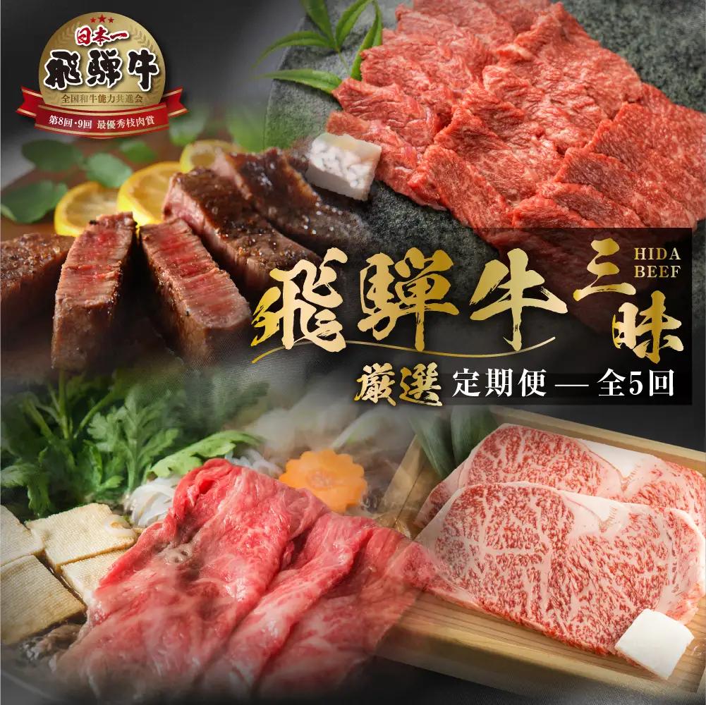 定期便 飛騨牛 三昧 肉 全5回 定期便 [S526_fu]