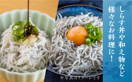 しらす 2種セット 釜揚げしらす480g(240g×2）しらす干し210ｇ / 小分け 便利 おつまみ 酒の肴 ごはんのお供 しらす丼 愛知県 田原市 渥美半島のしらす