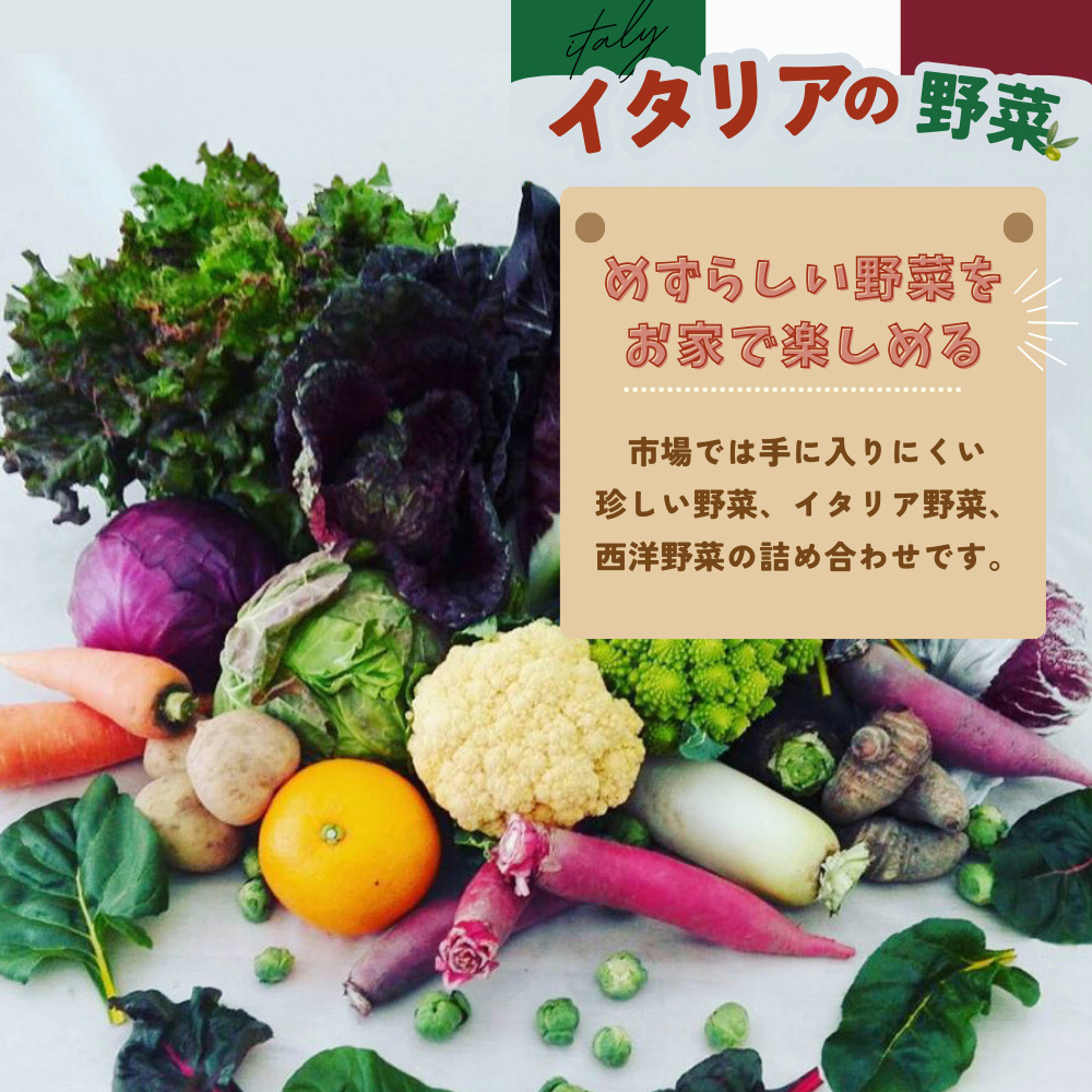 年間定期便24回 イタリア野菜セットショート 7品 【有機野菜 おまかせ野菜セット イタリア野菜 西洋野菜 定期便】(H078147)