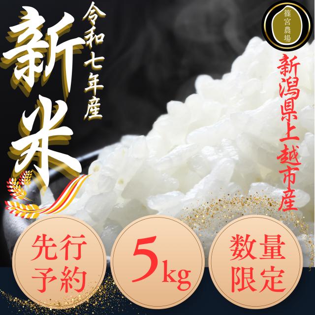 
            先行予約/令和7年産/上越市産/コシヒカリ/5kg/新米/精米/新潟/米/新潟県/こしひかり/限定/おすすめ
          