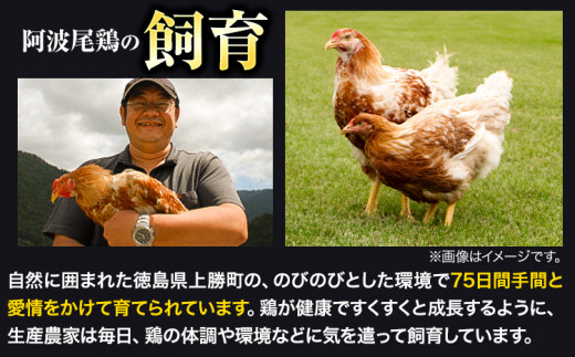 阿波尾鶏 鶏肉 もも肉 むね肉 食べ比べ セット 500g × 4パック 計2kg 岸農園 《30日以内に出荷予定（土日祝除く）》｜ 鶏肉 もも肉 むね肉 お肉 鳥肉 とり肉 阿波尾鶏 地鶏 大容量 