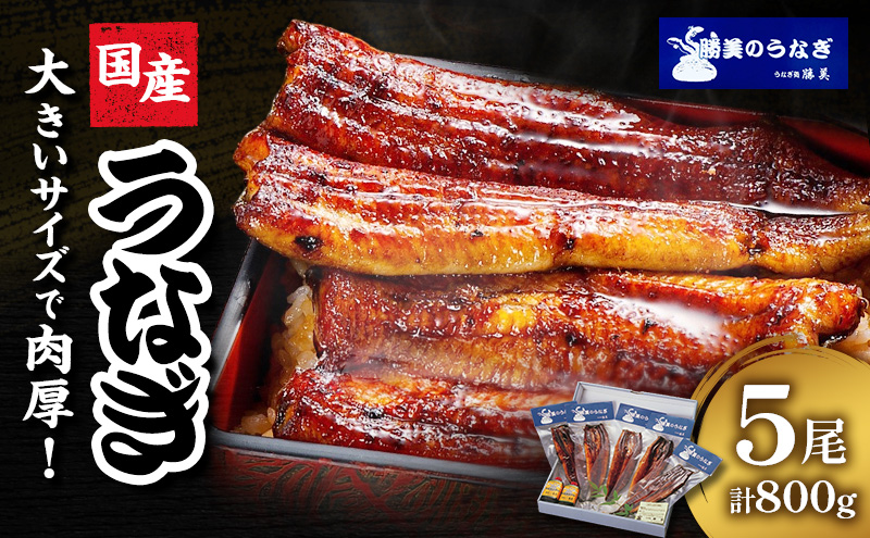 うなぎ 国産 蒲焼5尾セット(160g×5尾 タレ75ml×2・山椒付) 勝美 ギフト プレゼント お歳暮 誕生日 内祝