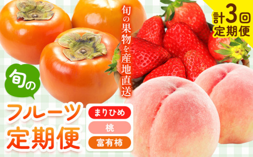 【発送月固定定期便】紀州和歌山産 旬のフルーツ便（いちご・桃・富有柿）【全３回】魚鶴《2月上旬-11月末頃出荷》 和歌山県 日高町 まりひめいちご 紀州和歌山産の桃 富有柿 化粧箱 贈答用 定期便