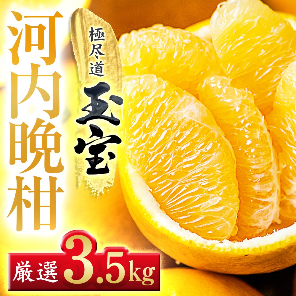 
                  ＜愛媛名産＞玉宝河内晩柑　3.5kg＜C64-52＞【1511374】 YWTY041
                