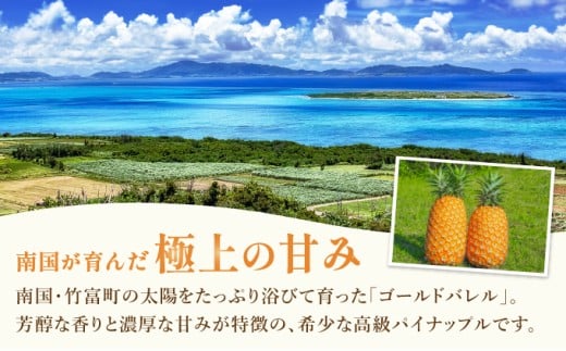 高級感No.1！開発に30年・栽培に3年。パイナップルの最高峰ゴールドバレル1.5kg(1玉)