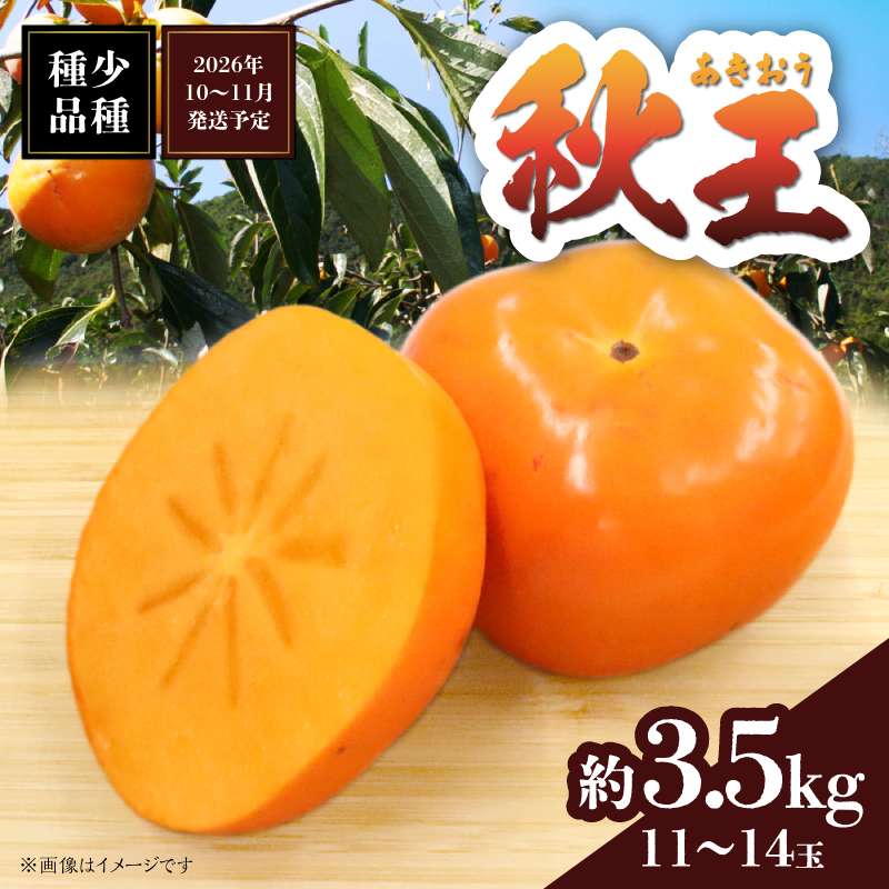 秋の贅沢、濃厚であま～い柿の新ブランド「秋王」約3.5kg（11～14玉）＜配送不可：北海道・沖縄・離島＞ 柿 フルーツ 秋の味覚 濃厚 サクサク 大玉