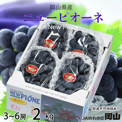 【ふるさと納税】ぶどう 2026年 先行予約 ニュー ピオーネ 3房～6房 約2kg ブドウ 葡萄 岡山県産 国産 フルーツ 果物 ギフト 果物類 　お届け：2026年8月下旬～2026年9月下旬