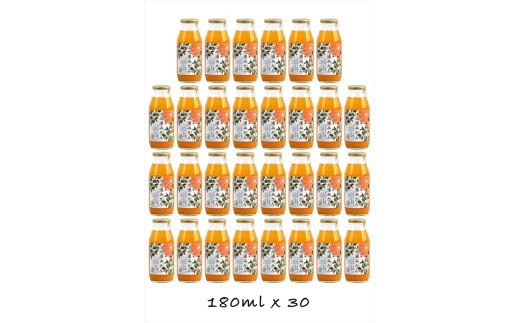 【定期便 （2カ月ごと全4回）】小田原産江之浦みかん１００％ストレートジュース１８０ml３０本 142069_GJ022