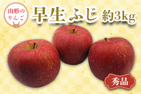 【2026年発送】「秀品」山形のりんご（早生ふじ）約3kg_H165(R8)