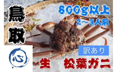 松葉ガニ 生 鳥取県産 訳アリ 800g 2～3人前 松葉がに