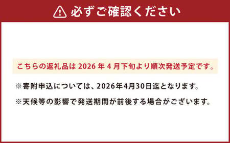 こだわり サラダ玉ねぎ 約8kg タマネギ たまねぎ  玉ねぎ 玉葱 常温 九州 熊本県産  【2026年4月下旬発送開始】