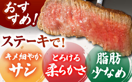 佐賀牛シャトーブリアン 計400g （200g×2パック） [HCS019] ステーキ ヒレ 牛肉 ステーキ
