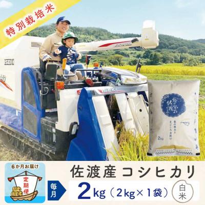 ふるさと納税 佐渡市 【毎月定期便】佐渡島産コシヒカリ 白米2kg 特別栽培米 農家直送　全6回