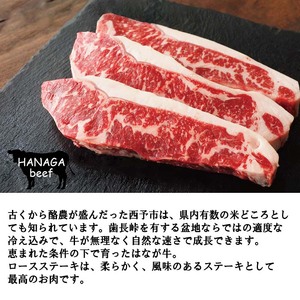 熟成肉 はなが牛ロースステーキ