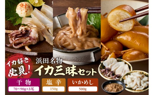【イカ好き必見！】浜田名物イカ三昧セット（干物・塩辛・いかめし） 魚 海鮮 イカ セット 名物 【025_0439】