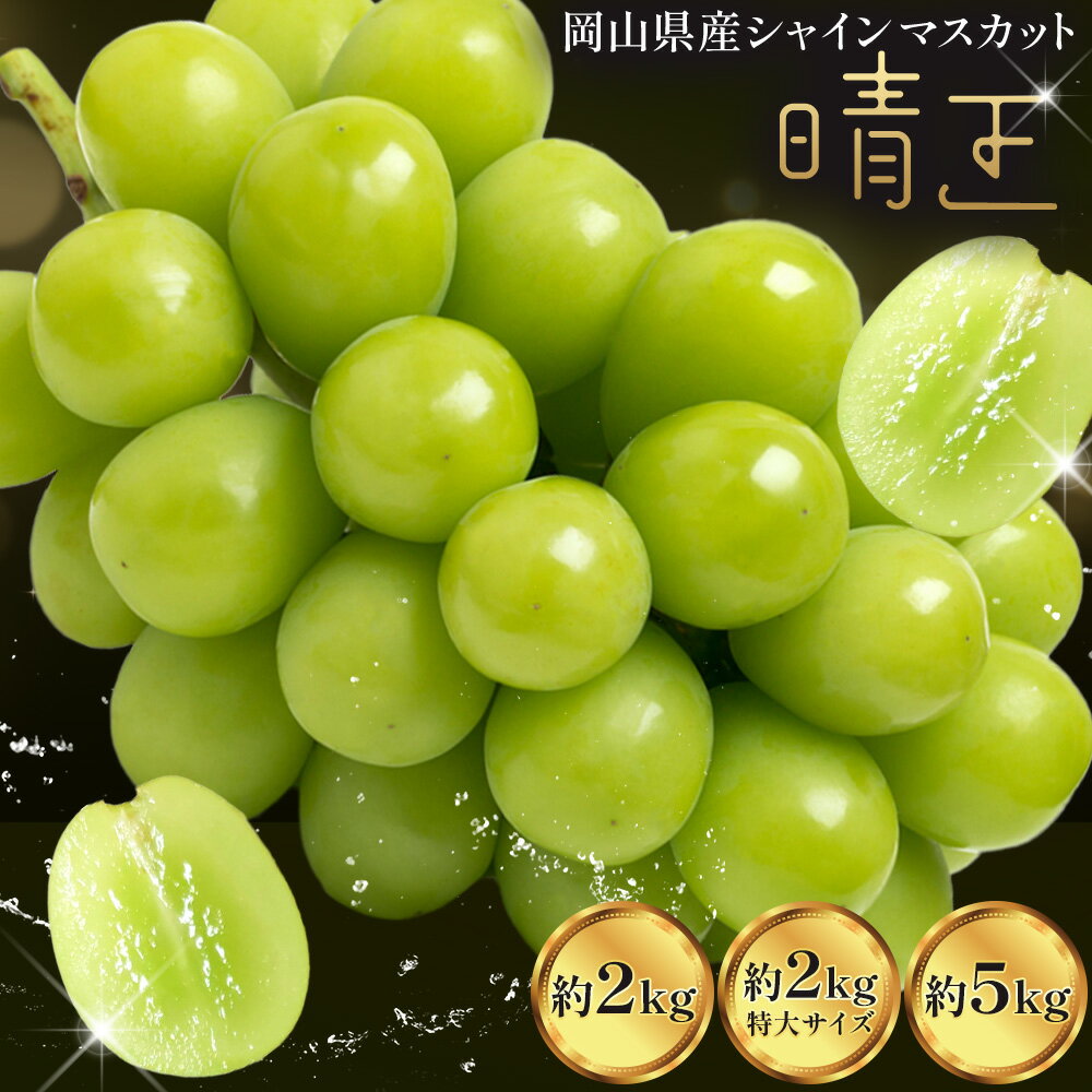 【ふるさと納税】【2026年先行予約】 フルーツ 果物 マスカット 岡山県産 シャインマスカット ぶどう 晴王 約 2kg(2房 ~ 5房) 約 5kg (5房 ~ 9房) 特大 2kg 《8月上旬-11月下旬頃出荷》土方商店 岡山県 備前市 葡萄 送料無料 大粒 シャイン