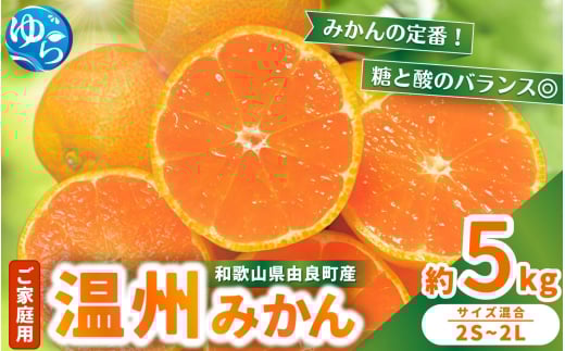 【先行予約】家庭用 温州みかん 5kg ※2025年11月中旬頃～2025年12月中旬頃に順次発送 / 農家直送 くだもの  果実  柑橘 果物 フルーツ 国産 和歌山県 由良町 ご家庭用 人気 おすすめ【nktn003】