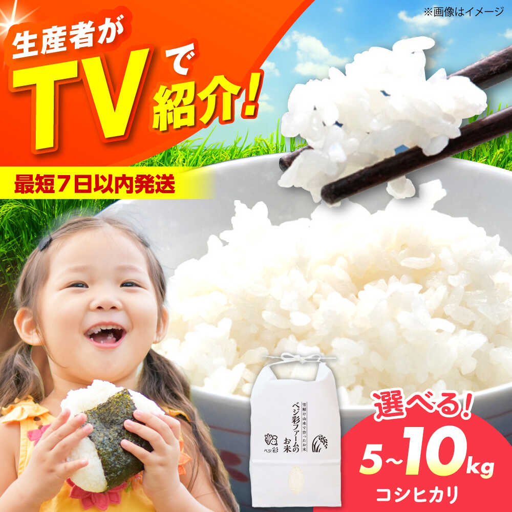 【ふるさと納税】【スピード発送/選べる容量】令和6年産 お米 5キロ 10キロ コシヒカリ こしひかり 米 お米 白米 ライス ごはん ご飯 人気 ふっくら もちもち おいしい 精米 国産 産地直送 おすすめ コメ おこめ 大阪 高槻 大阪府高槻市/ベジ彩ファーム[AOEJ012]