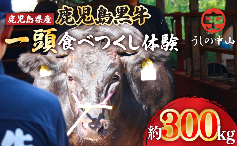 
            2929 日本一黒毛和牛一頭食べつくし体験うしの中山　KN050-032
          