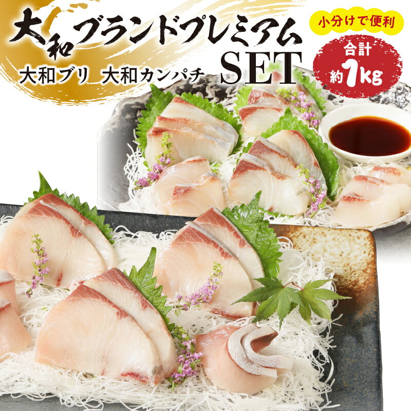 【ふるさと納税】大和ブランドプレミアムSET ブリ カンパチ 約1kg 小分け 刺身 ブロック 食品 海の幸 魚介類 グルメ 冷凍 真空パック 大和海商 宮崎県 延岡市 お取り寄せ 送料無料