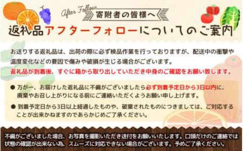 【ご家庭用訳あり】田村みかん　5kg ※2024年11月下旬頃～2025年1月下旬頃発送（お届け日指定不可）訳ありみかん 温州みかん【uot754】