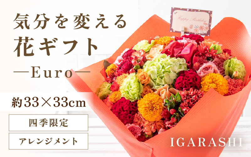 気分を変える花ギフト Euro(アレンジメント・四季限定アイテム) [aw062-d003_09]