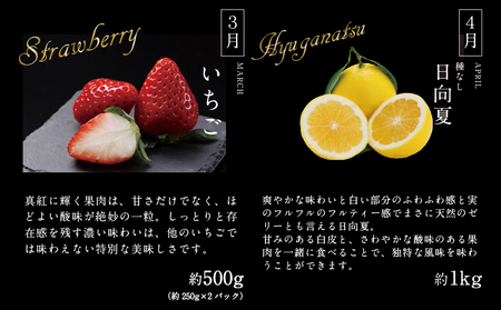 《2026年発送先行予約》【数量・期間限定】贈答用にもオススメ!バイヤー厳選!「フルーツ定期便」(全6回) 果物 フルーツ 定期便