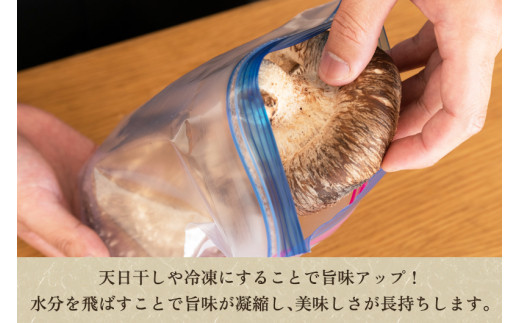 【2026年先行予約】【訳あり】生しいたけ 笠開き 約600g（12～22個）《10月中旬～順次出荷》 品評会で金賞受賞！ きのこ 訳あり しいたけ 椎茸 特大 食べ応えある大きさ 肉厚で旨味たっぷり！ 加茂市 青木農園