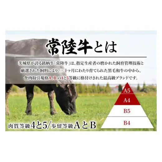 【茨城県共通返礼品】【12回定期便】常陸牛ロースステーキ 計6kg(250g×24)【銘柄牛 牛肉 冷凍 たんぱく質 ビタミン 茨城県産】(81-09)