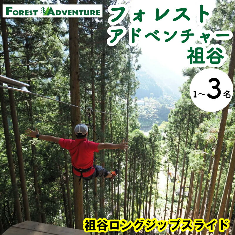 【ふるさと納税】 徳島県 旅行 クーポン 体験チケット 旅行券 感謝券 ジップライン アクティビティ 遊ぶ 三好市 みよし 観光 チケット クーポン 夏休み 自然 子供 家族連れ 商品券 施設利用券 フォレストアドベンチャー祖谷 祖谷ロングジップスライド 1～3名