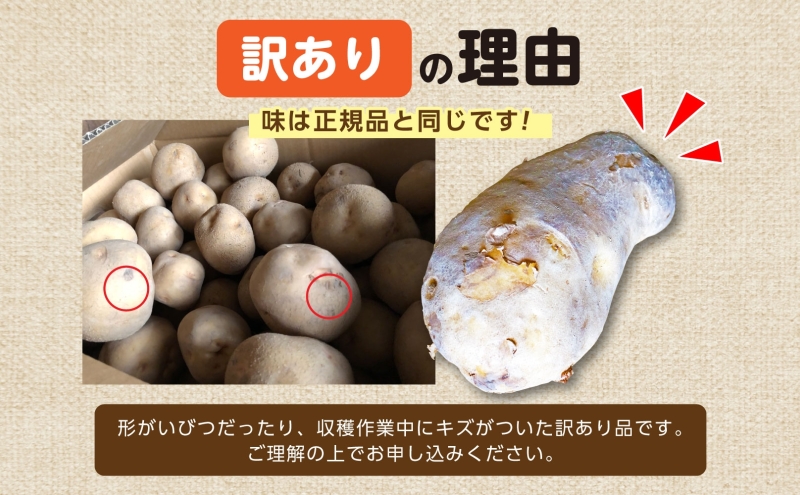 北海道産 訳あり 越冬 じゃがいも 男爵 M～2L 約10kg ジャガイ