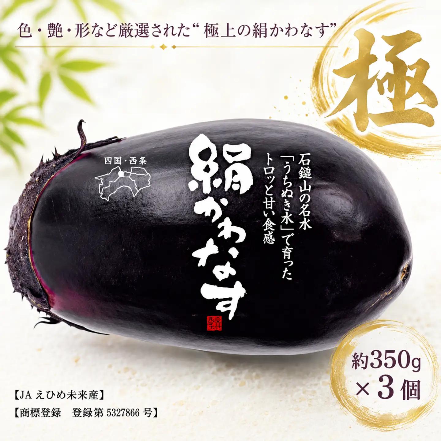 絹かわなす（極） 約350g×3個｜ 丸なす ナス 茄子 野菜 伝統野菜 
