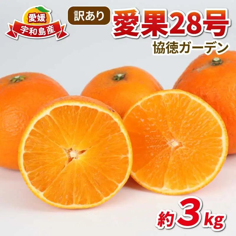 訳あり 愛果28号 ( 紅まどんな と同品種) 3kg 協徳ガーデン 紅まどんな B010-178017